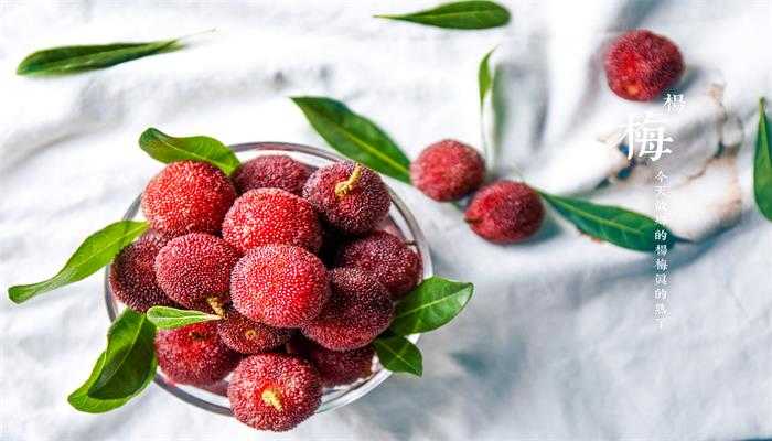 ��÷�ƵĹ�Ч ��÷�Ƶ�����